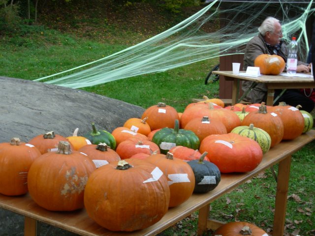 halloween_atoutlire_2011_9