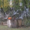 Halloween2011